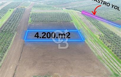 KARACABEY İSMETPAŞA'da SATILIK 4.200 m2 TARLA