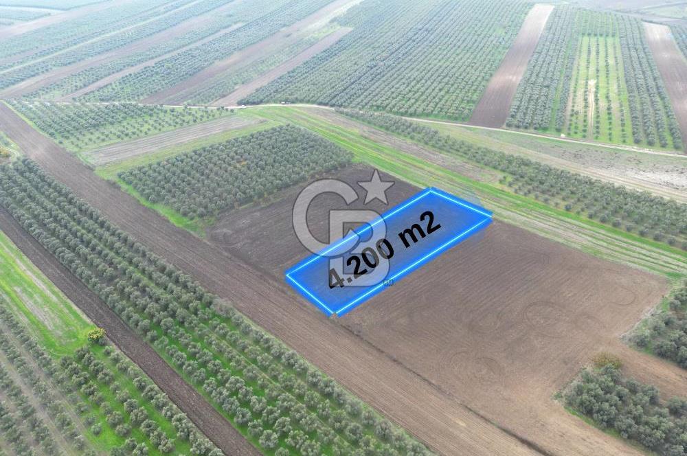 KARACABEY İSMETPAŞA'da SATILIK 4.200 m2 TARLA