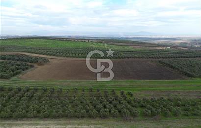 KARACABEY İSMETPAŞA'da SATILIK 4.200 m2 TARLA