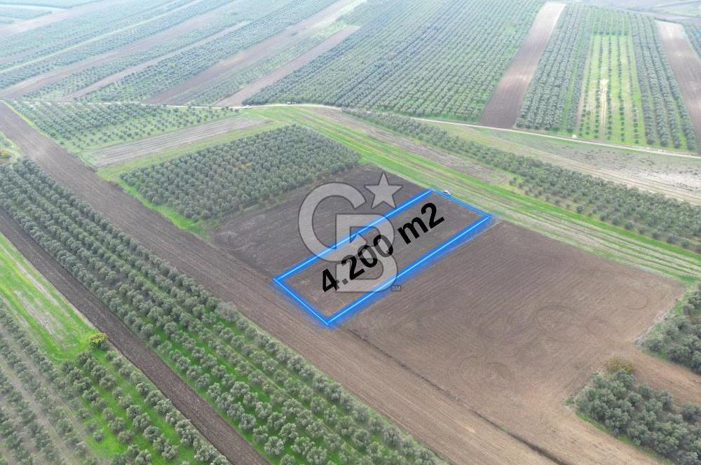 KARACABEY İSMETPAŞA'da SATILIK 4.200 m2 TARLA