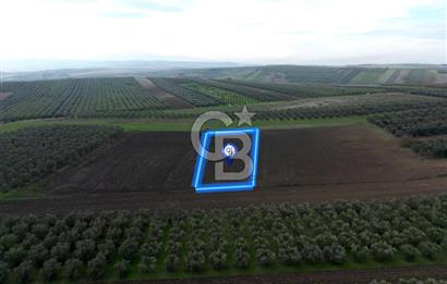 KARACABEY İSMETPAŞA'da SATILIK 4.200 m2 TARLA