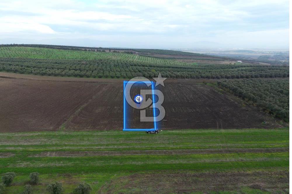 KARACABEY İSMETPAŞA'da SATILIK 4.200 m2 TARLA