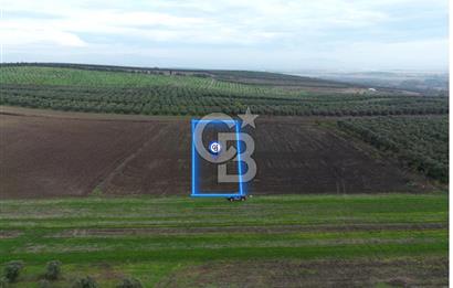 KARACABEY İSMETPAŞA'da SATILIK 4.200 m2 TARLA