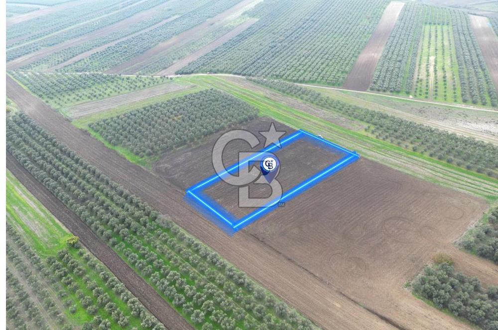 KARACABEY İSMETPAŞA'da SATILIK 4.200 m2 TARLA
