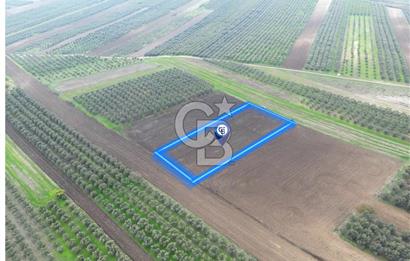 KARACABEY İSMETPAŞA'da SATILIK 4.200 m2 TARLA