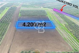 KARACABEY İSMETPAŞA'da SATILIK 4.200 m2 TARLA - 10 - 313701