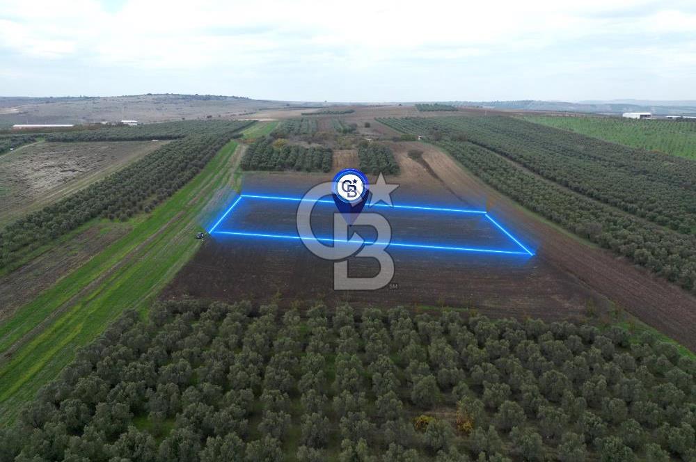 KARACABEY İSMETPAŞA'da SATILIK 4.200 m2 TARLA