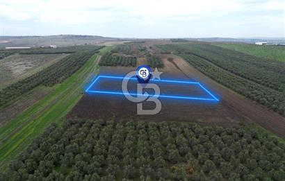 KARACABEY İSMETPAŞA'da SATILIK 4.200 m2 TARLA
