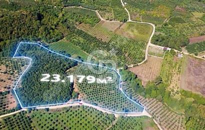 BURSA DA 23 DÖNÜM UYGUN FİYATLI SATILIK ARAZİ