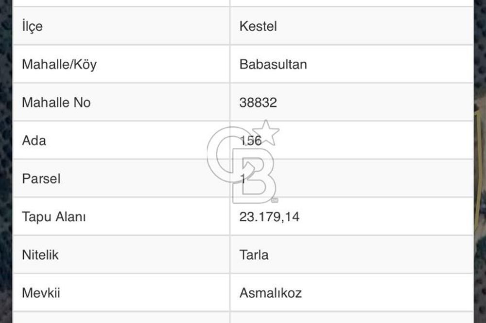 BURSA DA 23 DÖNÜM UYGUN FİYATLI SATILIK ARAZİ