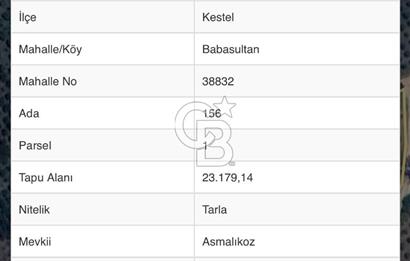 BURSA DA 23 DÖNÜM UYGUN FİYATLI SATILIK ARAZİ