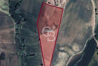 ADIYAMAN KAHTA DA 17.468 m2 YATIRIMLIK TARLA - 1 - 313741