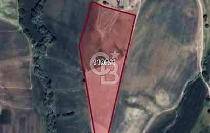 ADIYAMAN KAHTA DA 17.468 m2 YATIRIMLIK TARLA