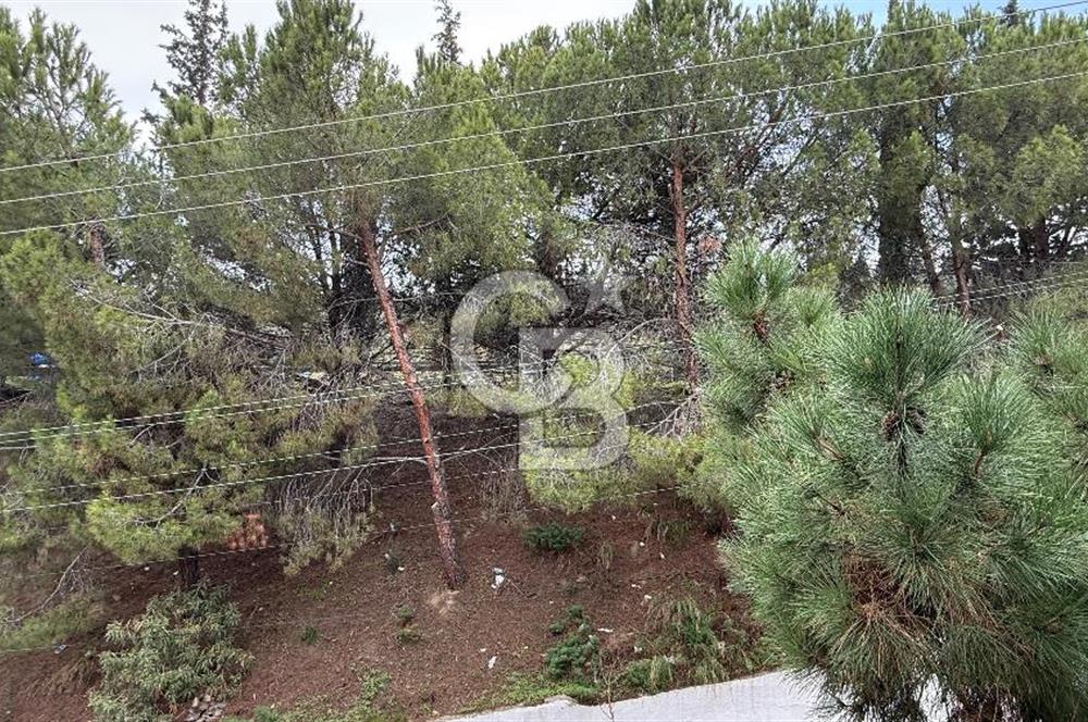 CB AMBIANCE'DAN GEMLİK/KUMLA TEZCAN SİTESİ'NDE EŞYALI 2+1 DAİRE