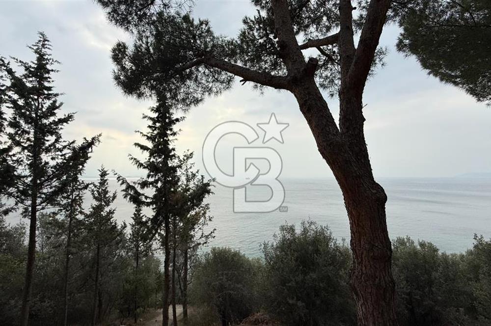 CB AMBIANCE'DAN GEMLİK/KUMLA TEZCAN SİTESİ'NDE EŞYALI 2+1 DAİRE