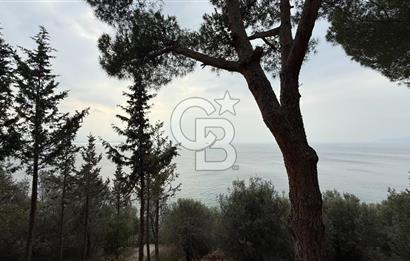 CB AMBIANCE'DAN GEMLİK/KUMLA TEZCAN SİTESİ'NDE EŞYALI 2+1 DAİRE