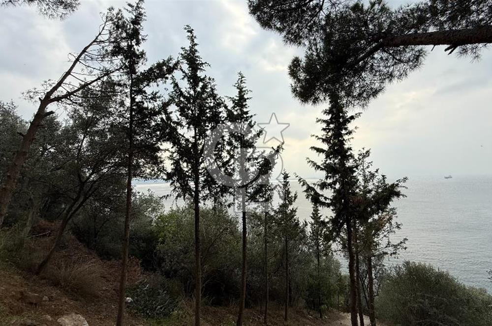 CB AMBIANCE'DAN GEMLİK/KUMLA TEZCAN SİTESİ'NDE EŞYALI 2+1 DAİRE