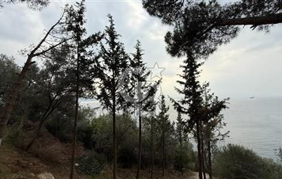 CB AMBIANCE'DAN GEMLİK/KUMLA TEZCAN SİTESİ'NDE EŞYALI 2+1 DAİRE