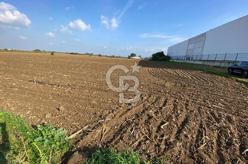 KEMALPAŞA ÖREN YOLA CEPHELİ SATILIK TARLA