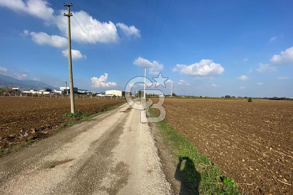 KEMALPAŞA ÖREN YOLA CEPHELİ SATILIK TARLA