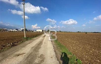 KEMALPAŞA ÖREN YOLA CEPHELİ SATILIK TARLA