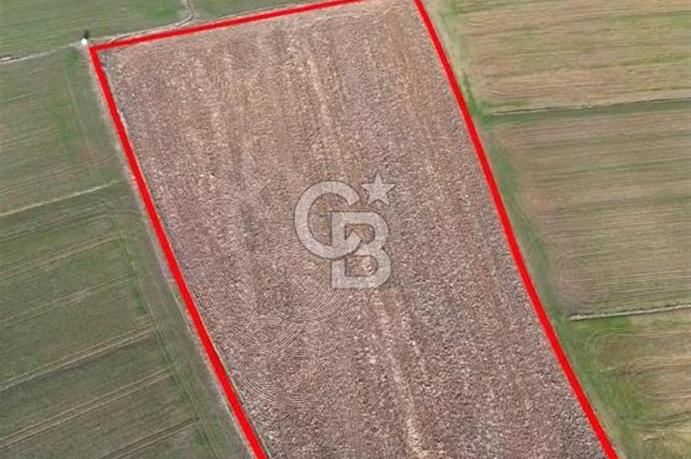 KIRKLARELİ,LÜLEBURGAZ,TURGUTBEY,FIRSAT TARLA