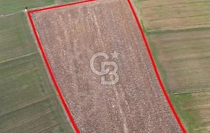 KIRKLARELİ,LÜLEBURGAZ,TURGUTBEY,FIRSAT TARLA