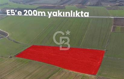 KIRKLARELİ,LÜLEBURGAZ,TURGUTBEY,FIRSAT TARLA