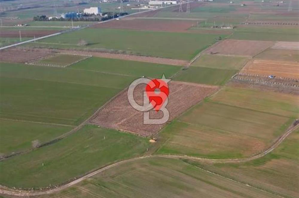 KIRKLARELİ,LÜLEBURGAZ,TURGUTBEY,FIRSAT TARLA