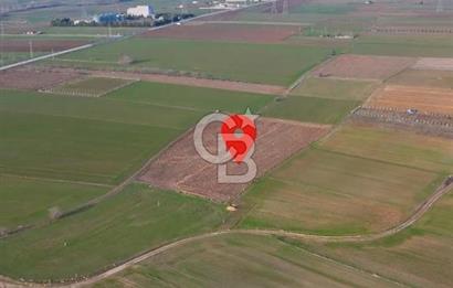 KIRKLARELİ,LÜLEBURGAZ,TURGUTBEY,FIRSAT TARLA