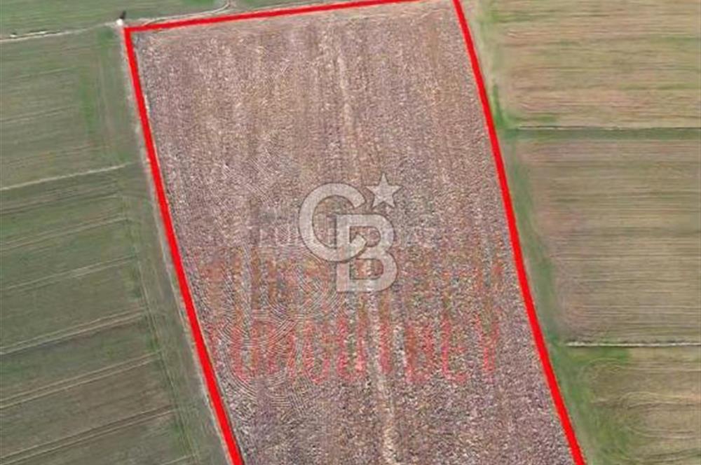 KIRKLARELİ,LÜLEBURGAZ,TURGUTBEY,FIRSAT TARLA