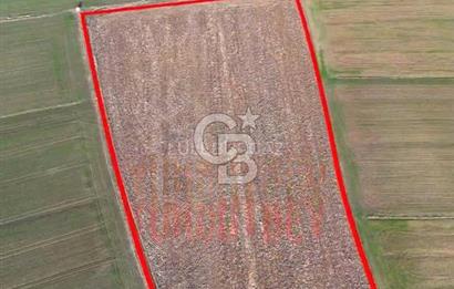 KIRKLARELİ,LÜLEBURGAZ,TURGUTBEY,FIRSAT TARLA