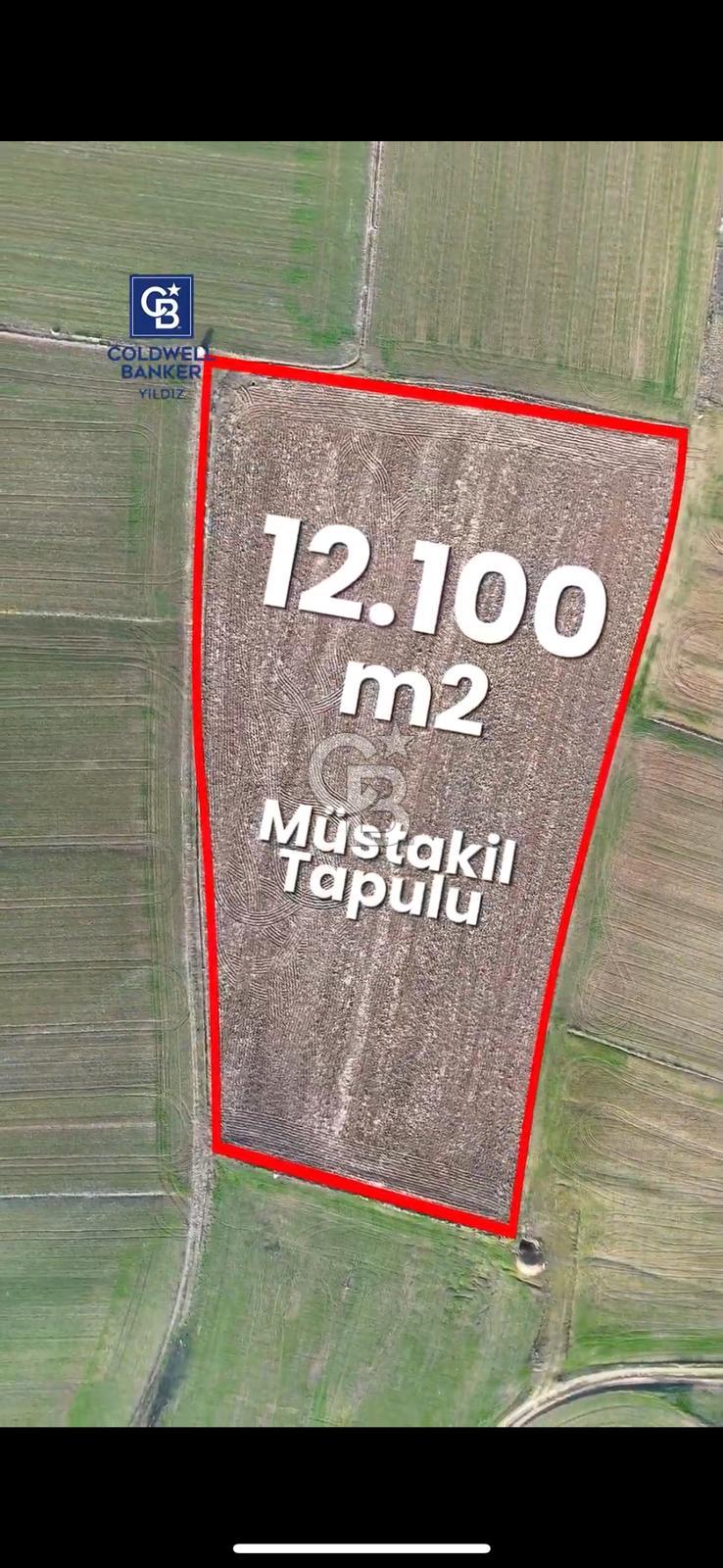 KIRKLARELİ,LÜLEBURGAZ,TURGUTBEY,FIRSAT TARLA