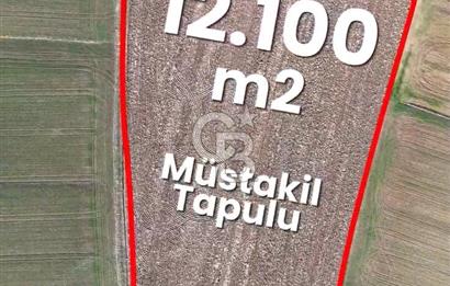 KIRKLARELİ,LÜLEBURGAZ,TURGUTBEY,FIRSAT TARLA