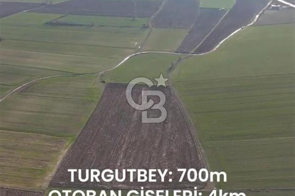 KIRKLARELİ,LÜLEBURGAZ,TURGUTBEY,FIRSAT TARLA