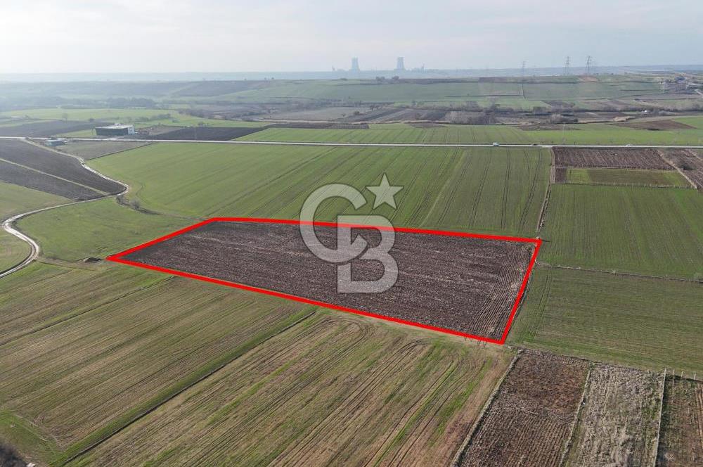 KIRKLARELİ,LÜLEBURGAZ,TURGUTBEY,FIRSAT TARLA