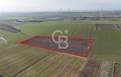 KIRKLARELİ,LÜLEBURGAZ,TURGUTBEY,FIRSAT TARLA