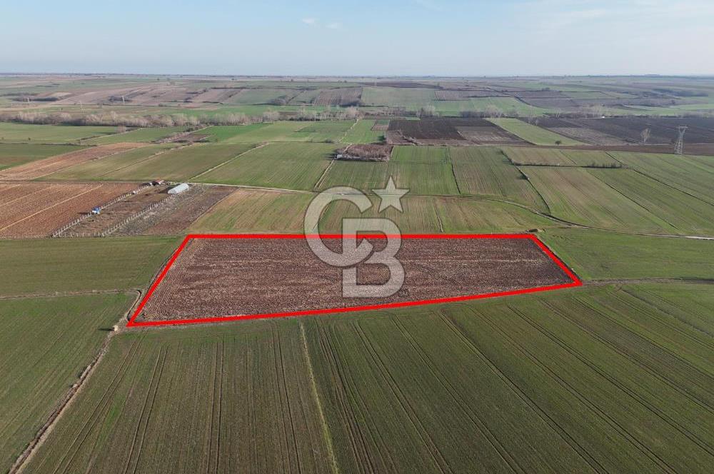 KIRKLARELİ,LÜLEBURGAZ,TURGUTBEY,FIRSAT TARLA