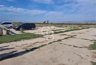 MUSELAND'DEN MANİSA SALİHLİ TAYTAN 12.210M² SATILIK ÜZÜM BAĞI - 5 - 313779