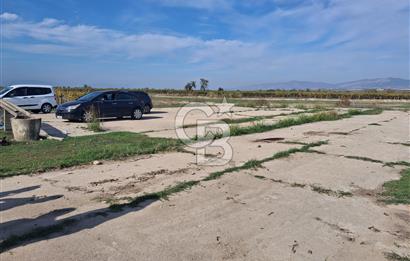 MUSELAND'DEN MANİSA SALİHLİ TAYTAN 12.210M² SATILIK ÜZÜM BAĞI