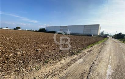 KEMALPAŞA ÖREN YOLA CEPHELİ SATILIK TARLA