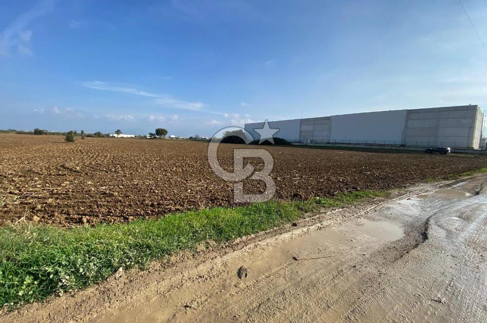 KEMALPAŞA ÖREN YOLA CEPHELİ SATILIK TARLA