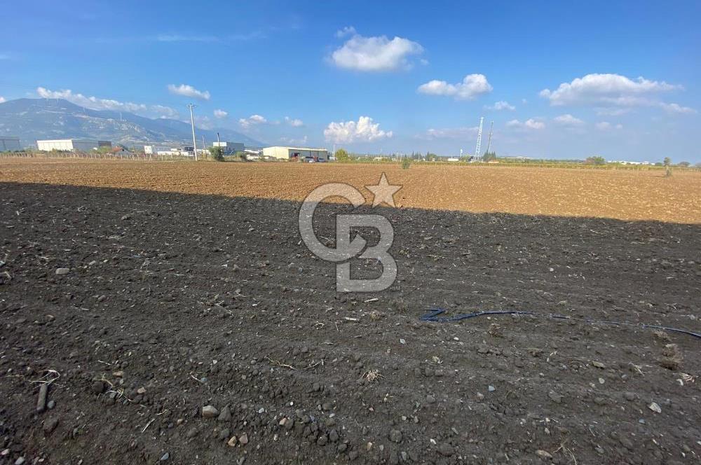 KEMALPAŞA ÖREN YOLA CEPHELİ SATILIK TARLA