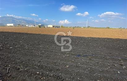 KEMALPAŞA ÖREN YOLA CEPHELİ SATILIK TARLA