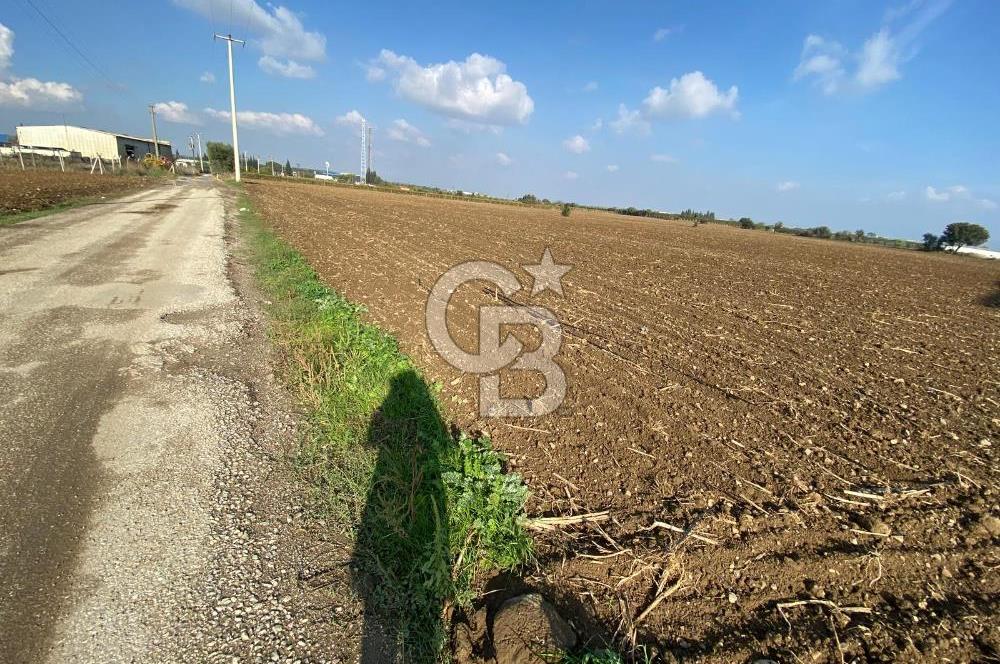 KEMALPAŞA ÖREN YOLA CEPHELİ SATILIK TARLA