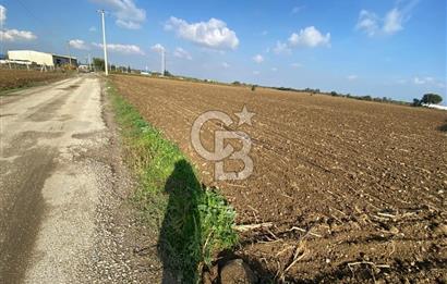 KEMALPAŞA ÖREN YOLA CEPHELİ SATILIK TARLA
