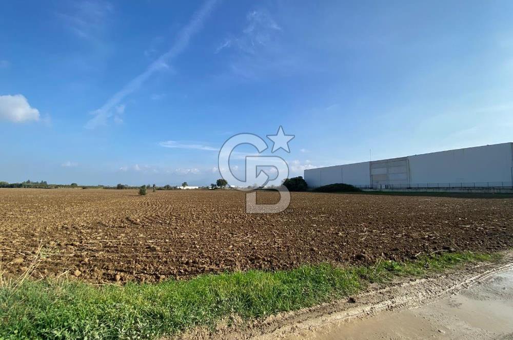 KEMALPAŞA ÖREN YOLA CEPHELİ SATILIK TARLA