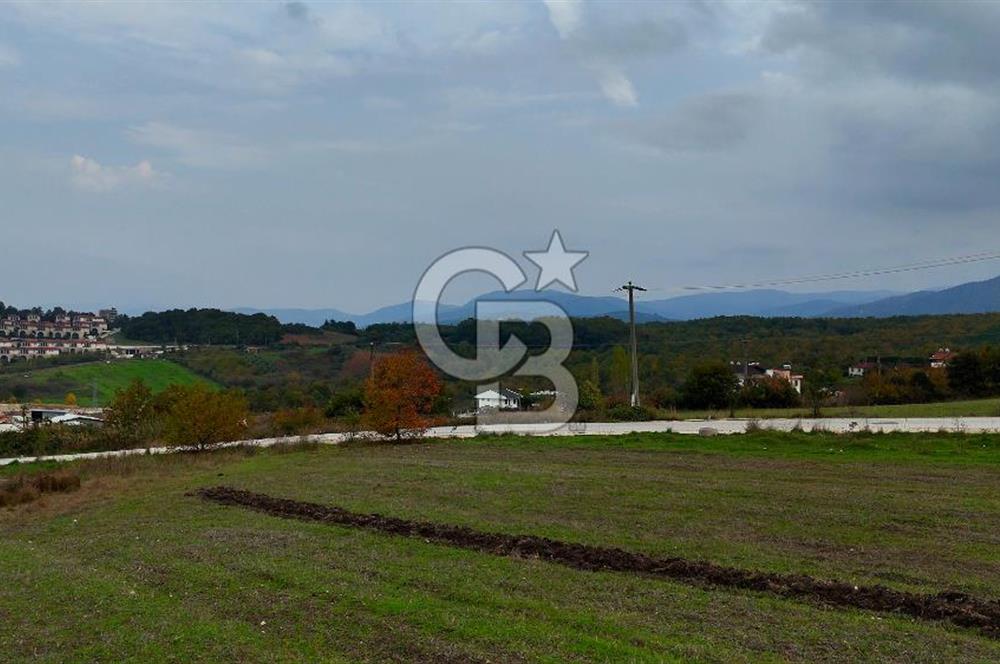 TERMAL'DE PROJEYE HAZIR, 1.175 m² TİCARİ İMARLI FIRSAT ARSA!