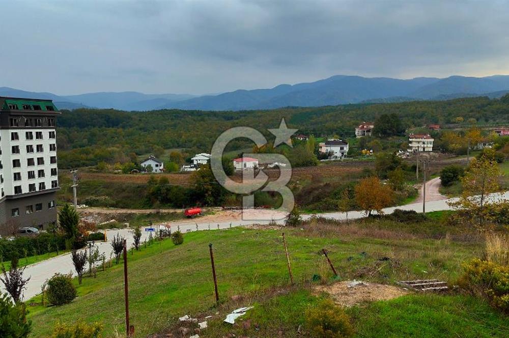 YALOVA TERMAL'DE, YÜKSEK POTANSİYELLİ TİCARİ İMARLI ARSA!