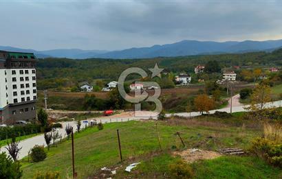 YALOVA TERMAL'DE, YÜKSEK POTANSİYELLİ TİCARİ İMARLI ARSA!
